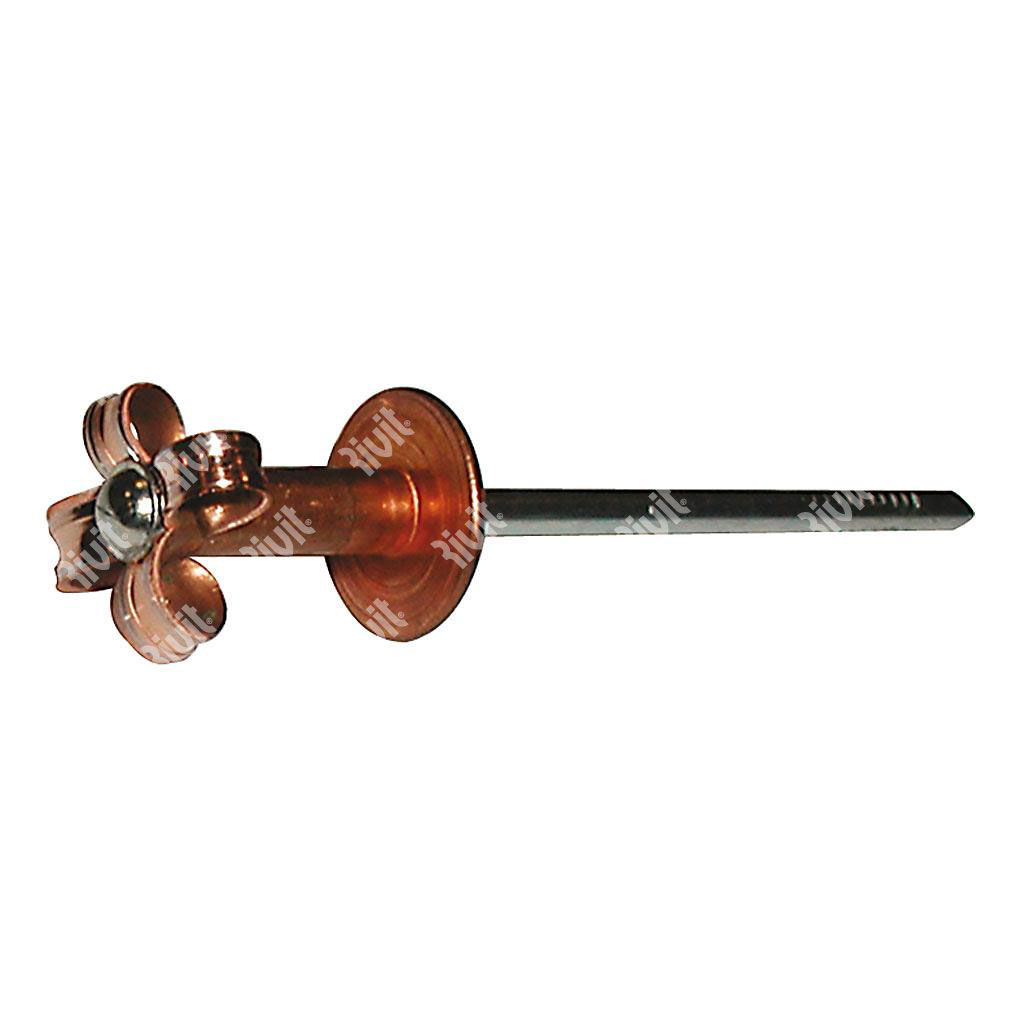 FIORIV14-Blind rivet Copper/Steel h.5,25 LH14 5,0x40,0 TL14