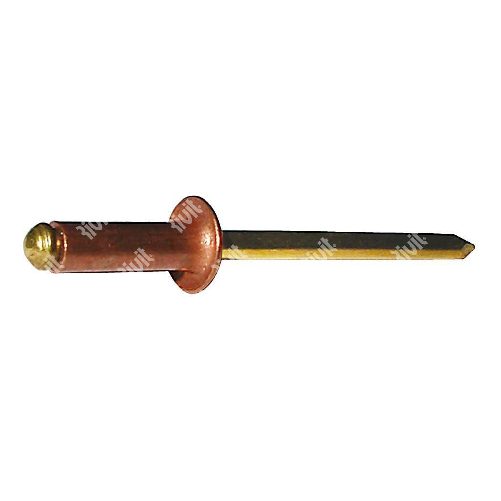 ROT-BLISTRIV-Blind rivet Copper/Brass DH (100pcs) 3,4x11,0