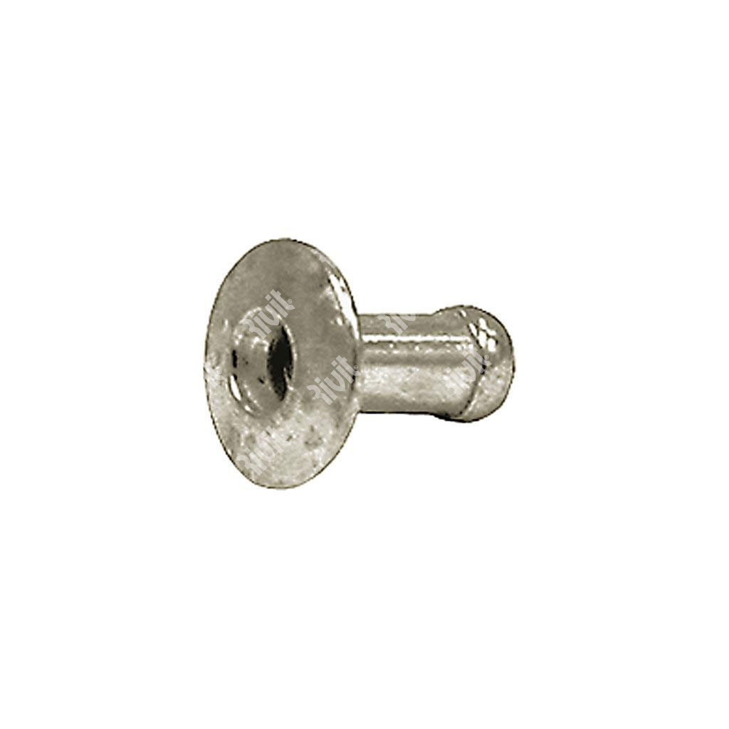 BRIT-Speedriv Inox 304 TT(36pz) ss3,7-5,2 in cartuccia 4,8x7,3