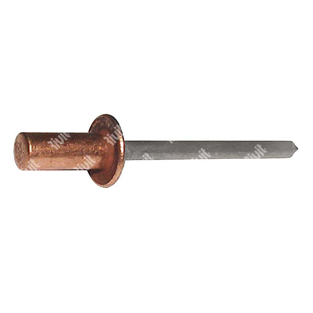 SRIT-Sealed blind rivet Copper/Stainless Steel DH 3,2x8,0