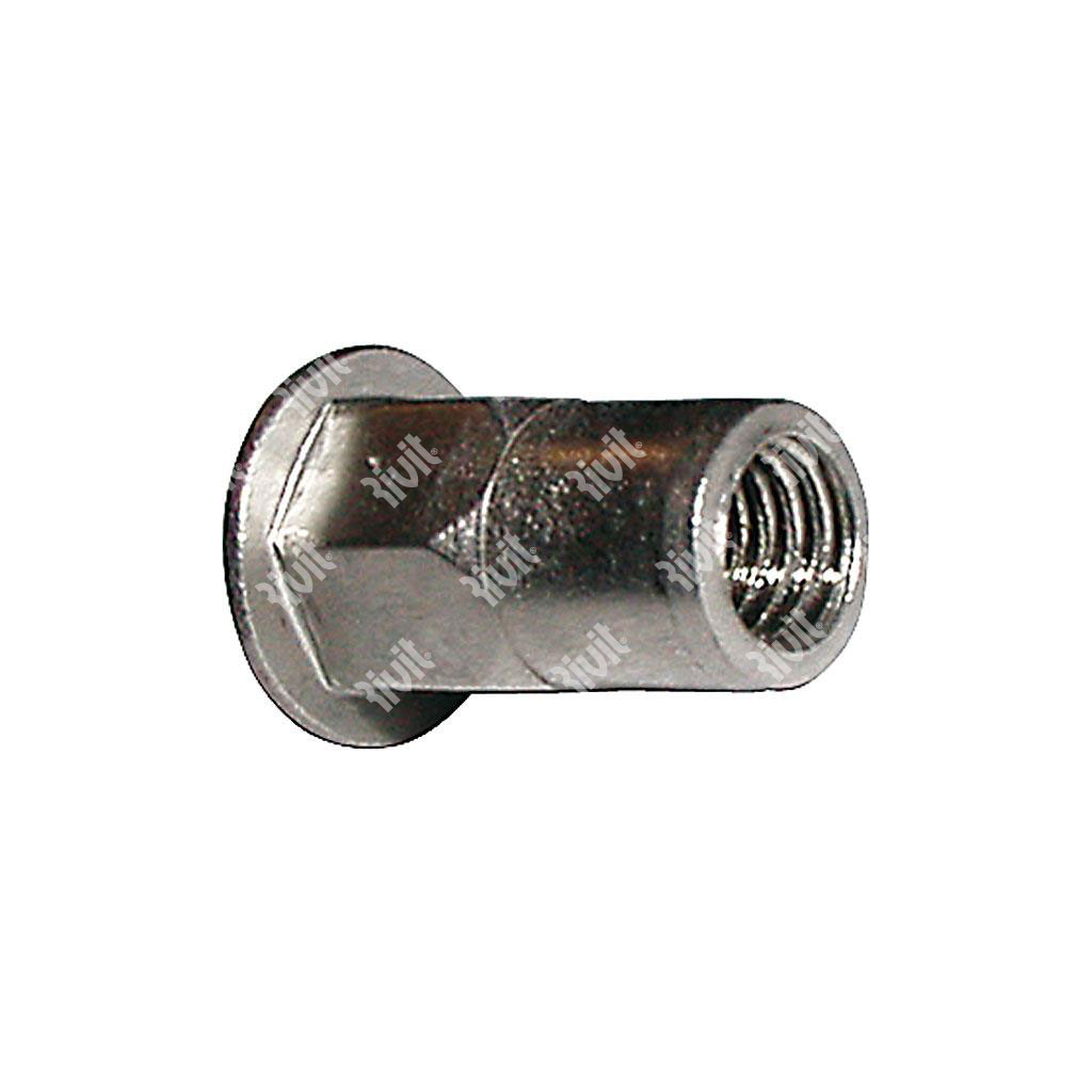 ITEPA2-Rivsert Stainless steel A2 semihex.8,9mm h. gr3,5-6,0 DH M6/060