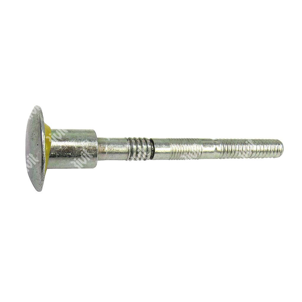 RIVTAINER-Steel bolt d.6,4 gr 15,9-19 h.10,5 RTFL 12-11 d.6,4