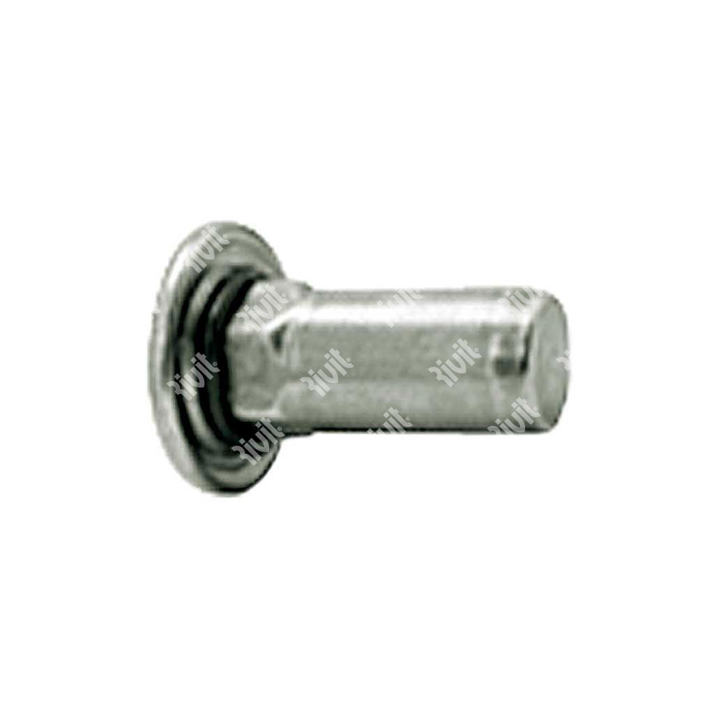 STREP-G-Rivs.inox A4 sem.8,9 f.9,0 ss0,5-3,0 Cieco c/guarnizione M6/030