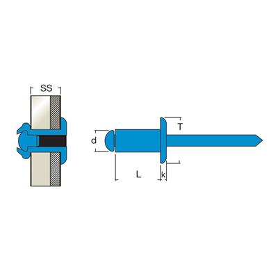 IITA4-Rivetto Inox AISI316/AISI316 TT f.3,1 3,0x6,0