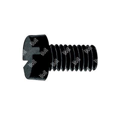 Slotted cheese head screw UNI 6107/DIN 84A Nylon 6.6 black M3x6