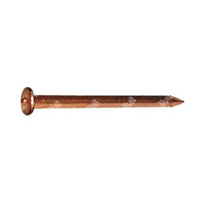 IPL-Steel copper plated insulation nail 2,6x50
