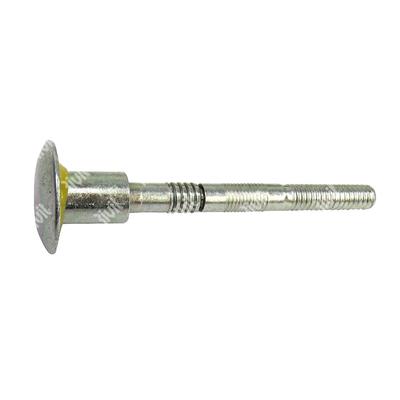 RIVTAINER-Steel bolt d.6,4 gr 15,9-19 h.10,5 RTFL 12-11 d.6,4