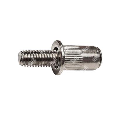 BITCZA2-Ribolt ss Male M6 Rivet nut M6x15