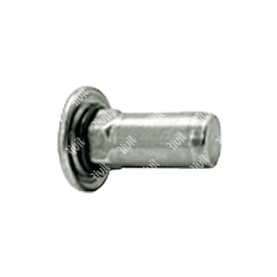 STREP-G-Close end Rivsert Stainless steel A4 semi-hex 8,9 h.9,0 gr0,5-3,0 DH w/washer M6/030