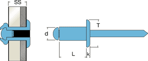 distec-IIT