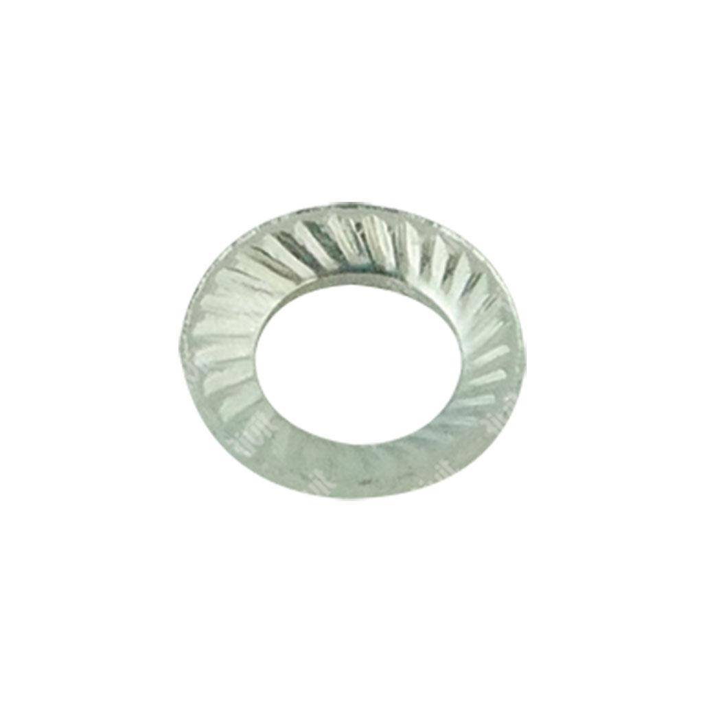 Schnorr safety washer cl.8 - white zinc plated steel d.6
