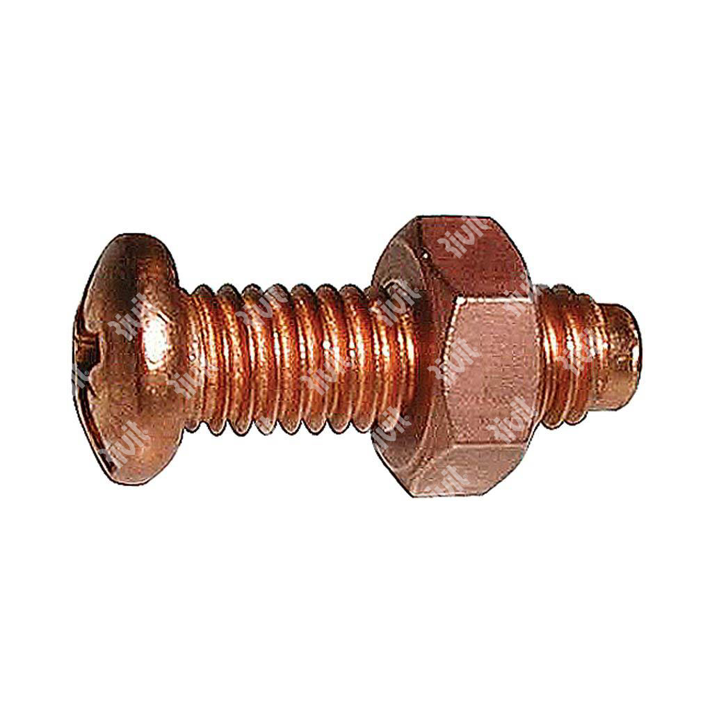 TCR-CH+COPPER Screw/-w/Inox Copper pltd Nut M6x20