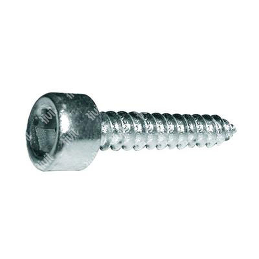 Self-tapping hex socket head cap screw UNI 6947 C15 - white zinc plated steel 4,8x13