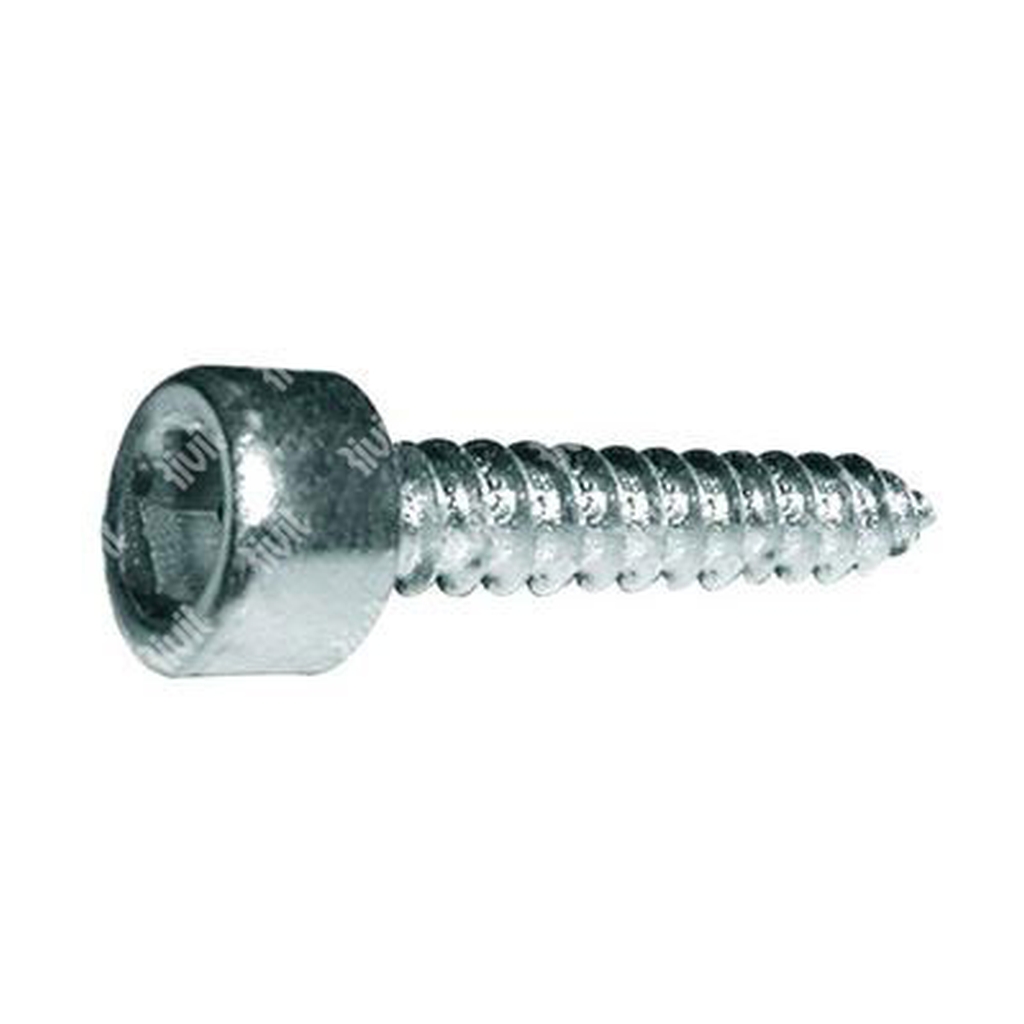 Self-tapping hex socket head cap screw UNI 6947 C15 - white zinc plated steel 5,5x22