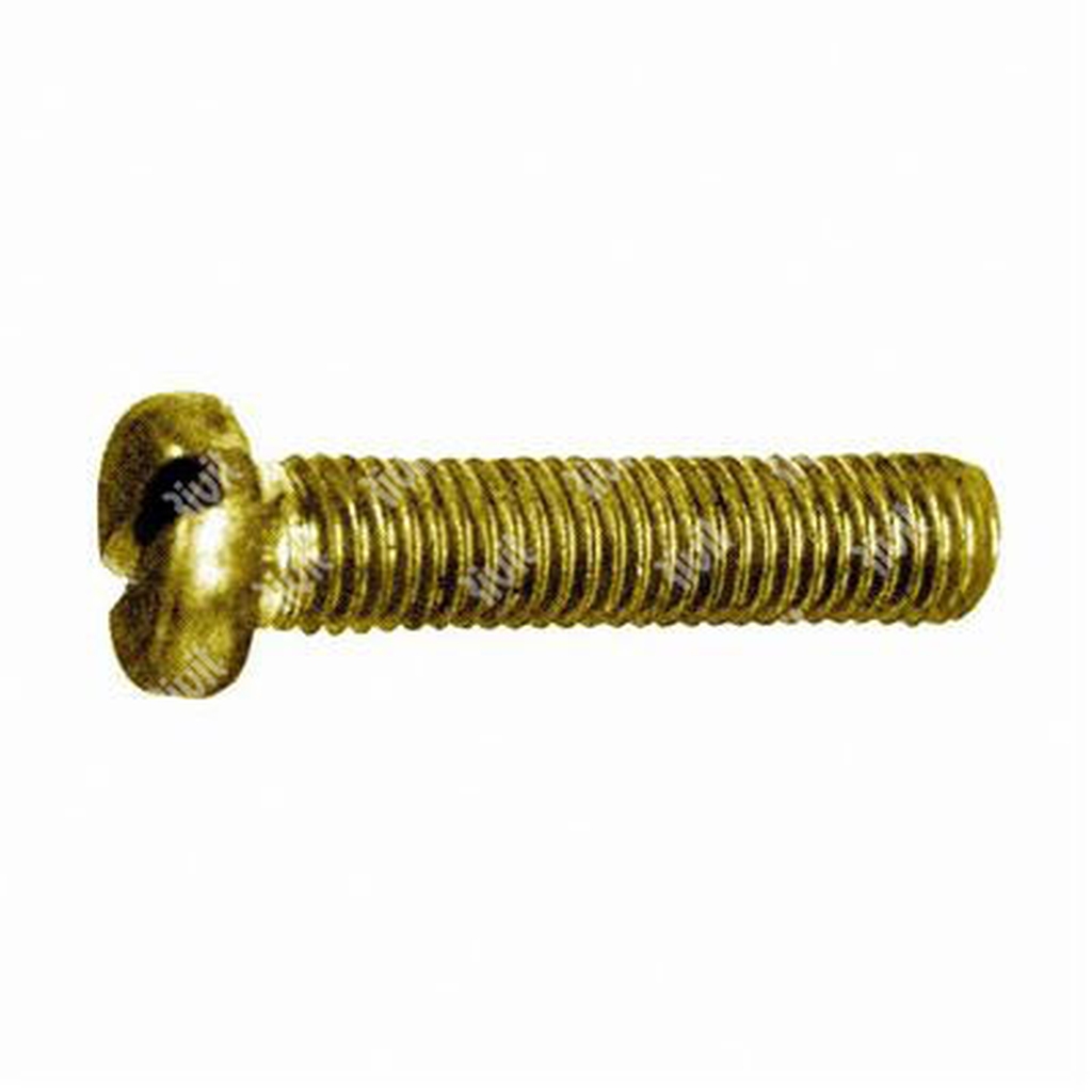 Slotted cheese head screw UNI 6107/DIN 84A brass M4x25