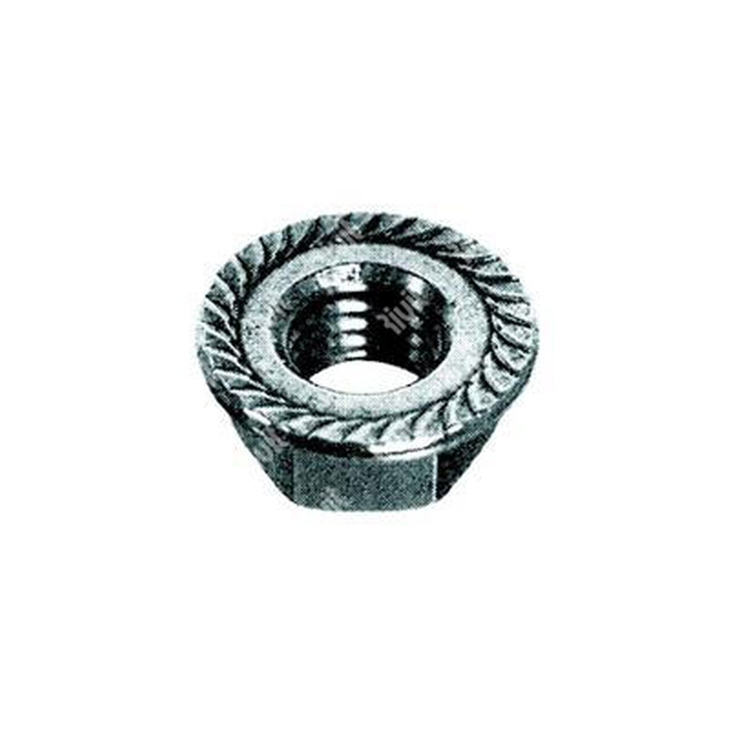 Hex serrated flange nut DIN 6923 white zinc plated steel cl.8 M3