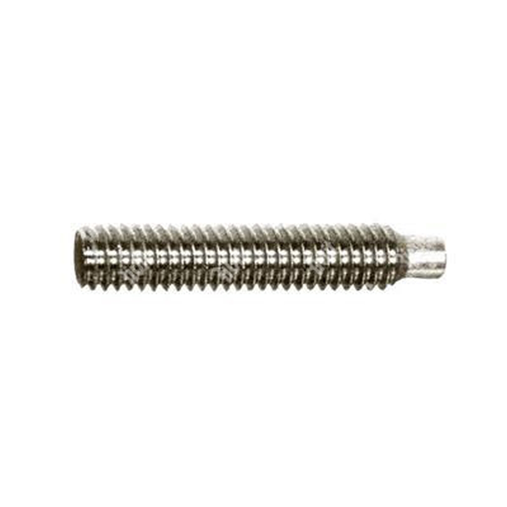Socket set screws with dog point 5925/DIN 915 stainless steel 304 M10x40
