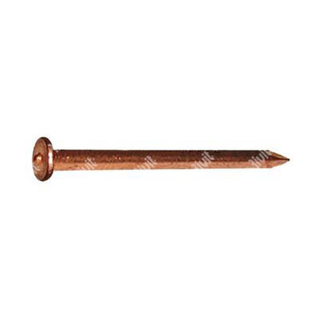 IPL-Steel copper plated insulation nail 2x40