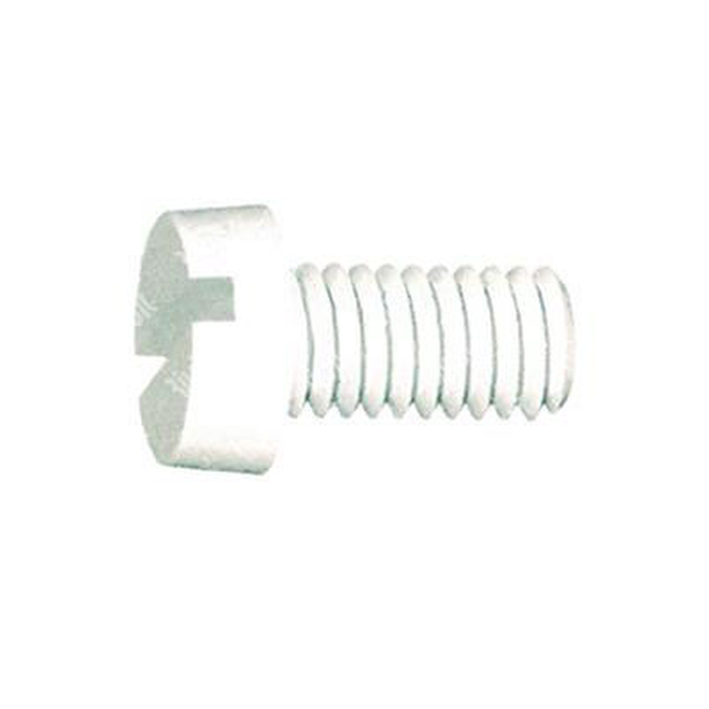 Slotted cheese head screw UNI 6107/DIN 84A Nylon 6.6 natural M5x16