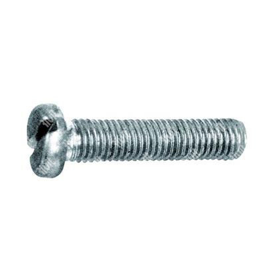 Slotted cheese head screw UNI 6107/DIN 84A 4.8 - white zinc plated steel M2x4