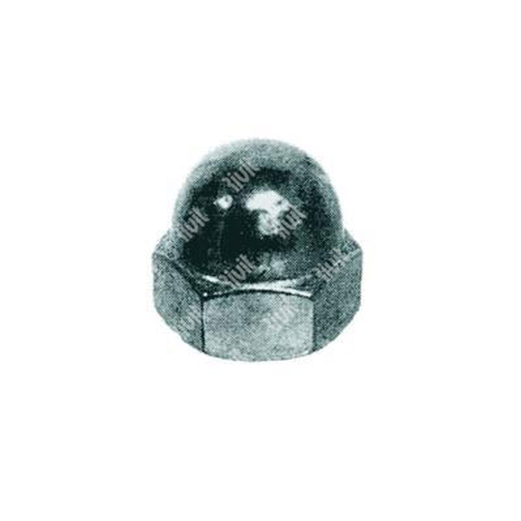 Hex domed cap nut UNI 5721/DIN 1587 cl.8 - white zinc plated steel M5