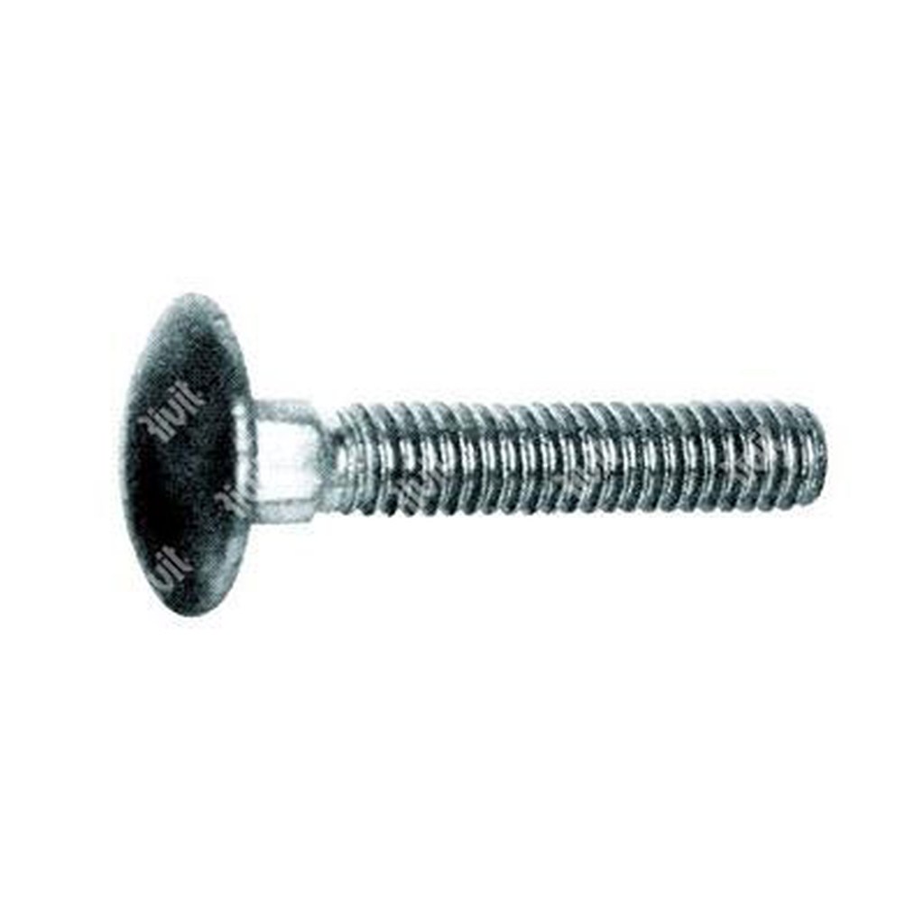Round head square neck bolt UNI 5732/DIN 603 with hex nut   4.8 - white zinc plated steel M5x16