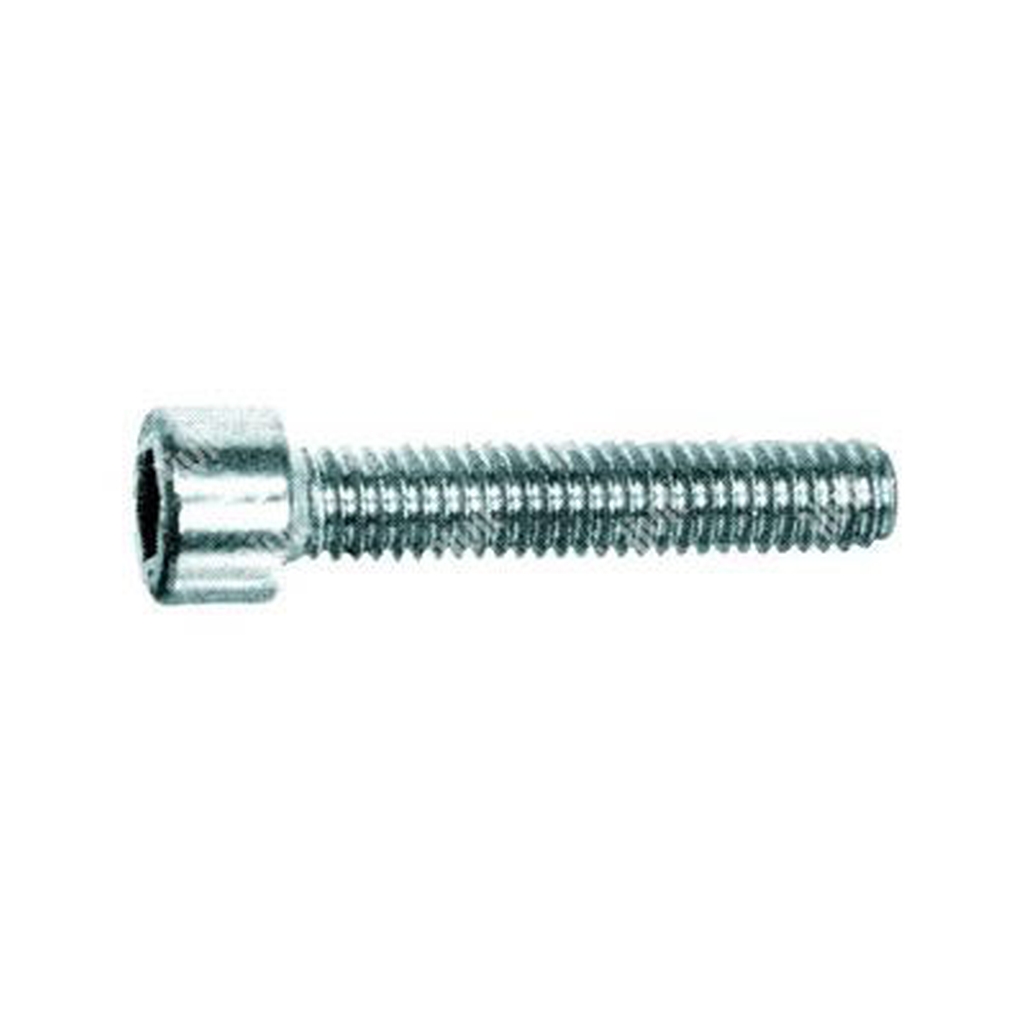 Hex socket head cap screw UNI 5931/DIN 912 8.8 - white zinc plated steel M3x14