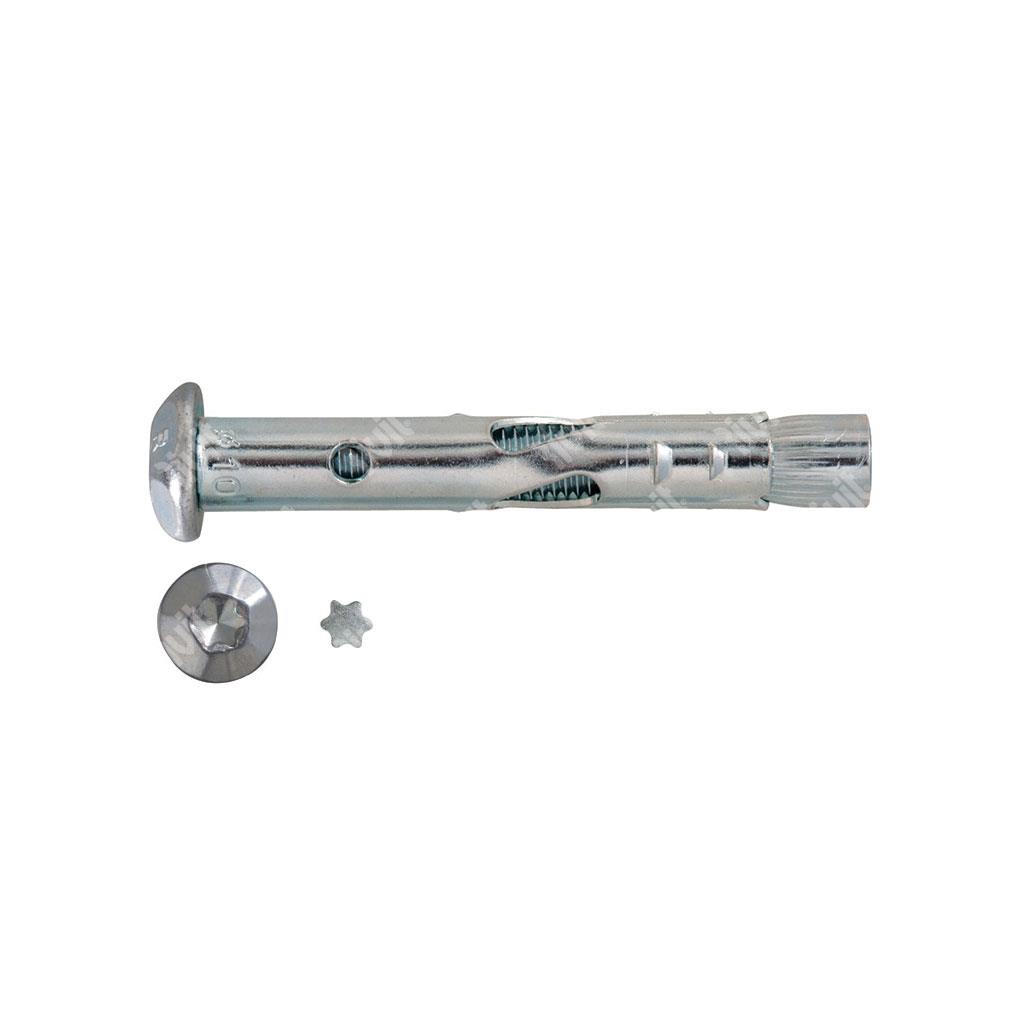 WHS-Steel anchor w/screws M8x50 unscrewing TX n°40 with Zamak cover head + 1 TX supply inserter d.10x50