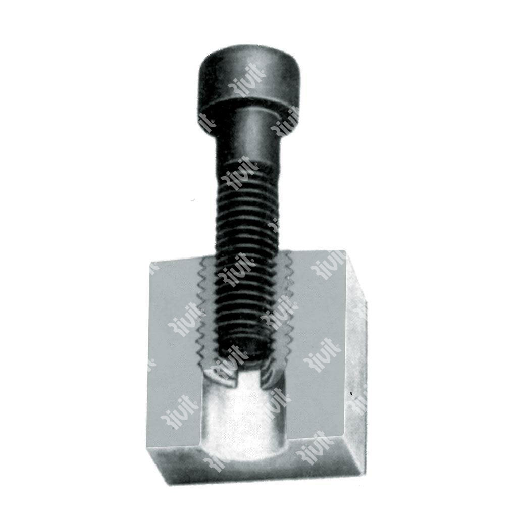RSCF-F-Self tapping socketGalv. Steel w/hole f.8 M4x0,7x6 - 0318C