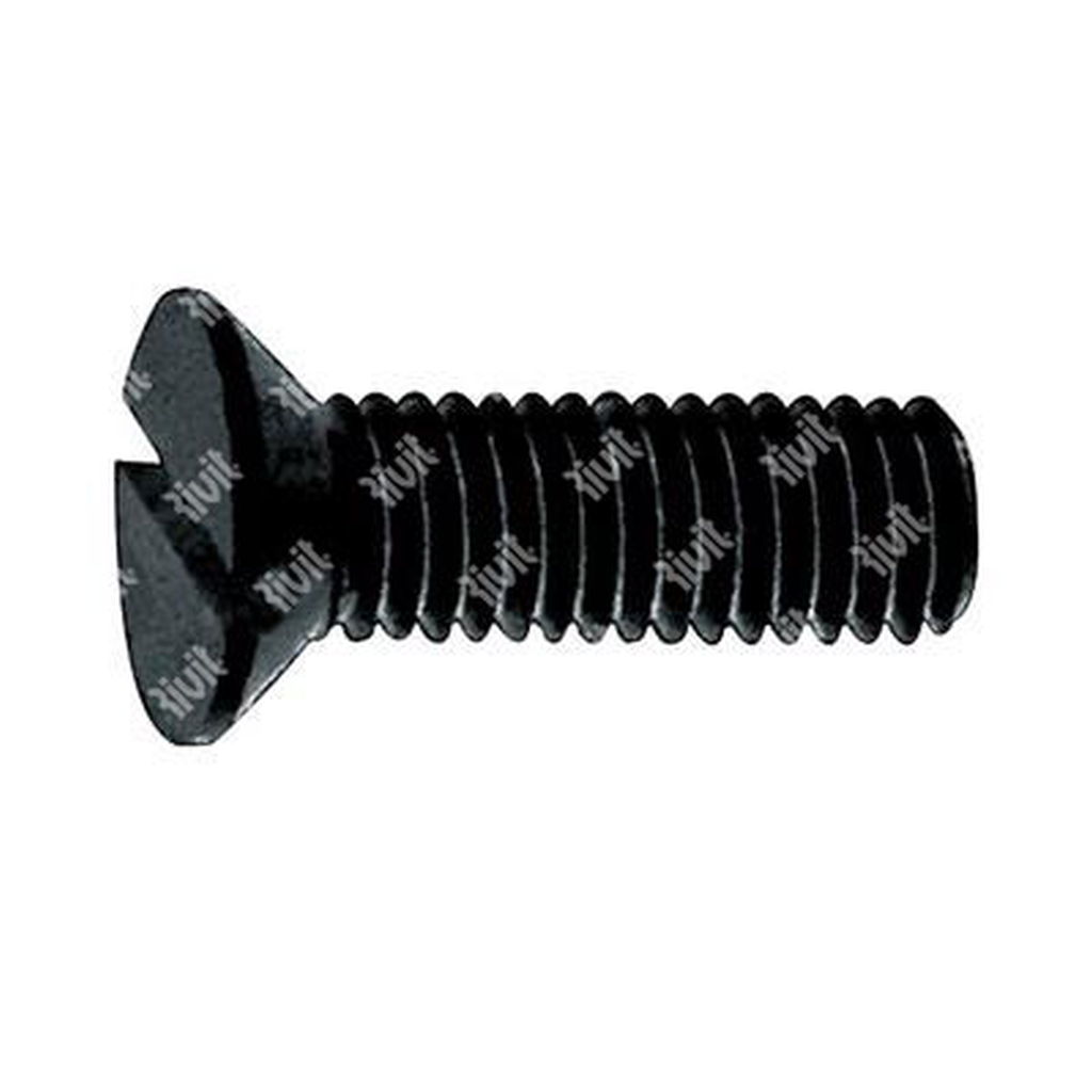 Slotted flat head screw UNI 6109/DIN 963A Nylon 6. 6 black M4x12