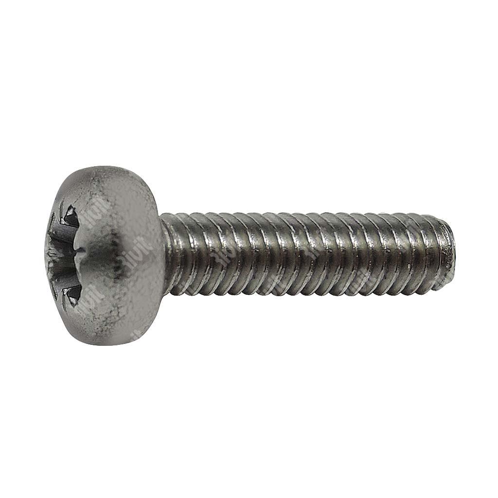 THREAD ROLLING RAISED CHEESE HEAD SCREW A2 DIN7500 M4x20