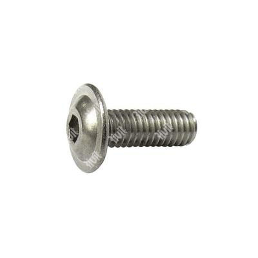 Vite BUTTON FLANGIATA ISO 7380-2 INOX A2 M10x30