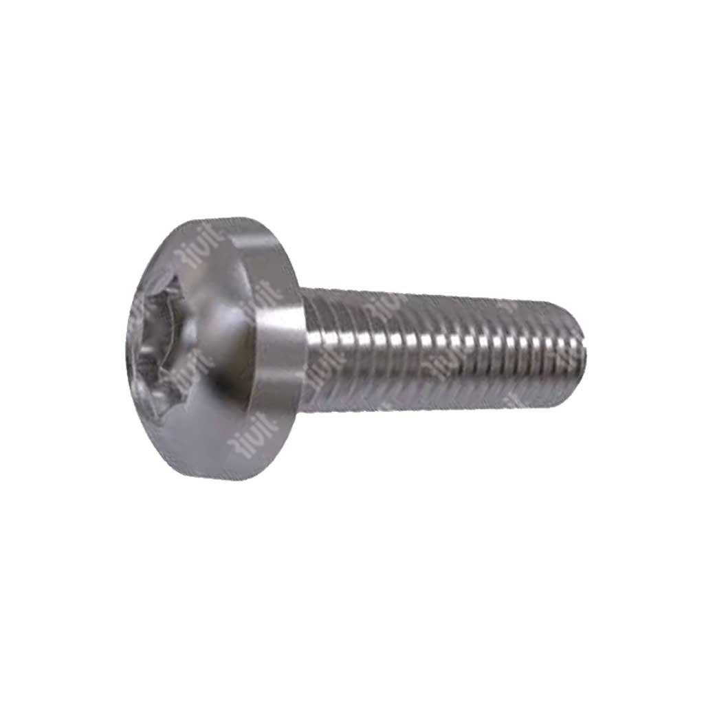 Torx T6 pan head screw ISO14583/D7985 A2 - stainless steel AISI304 M2x5