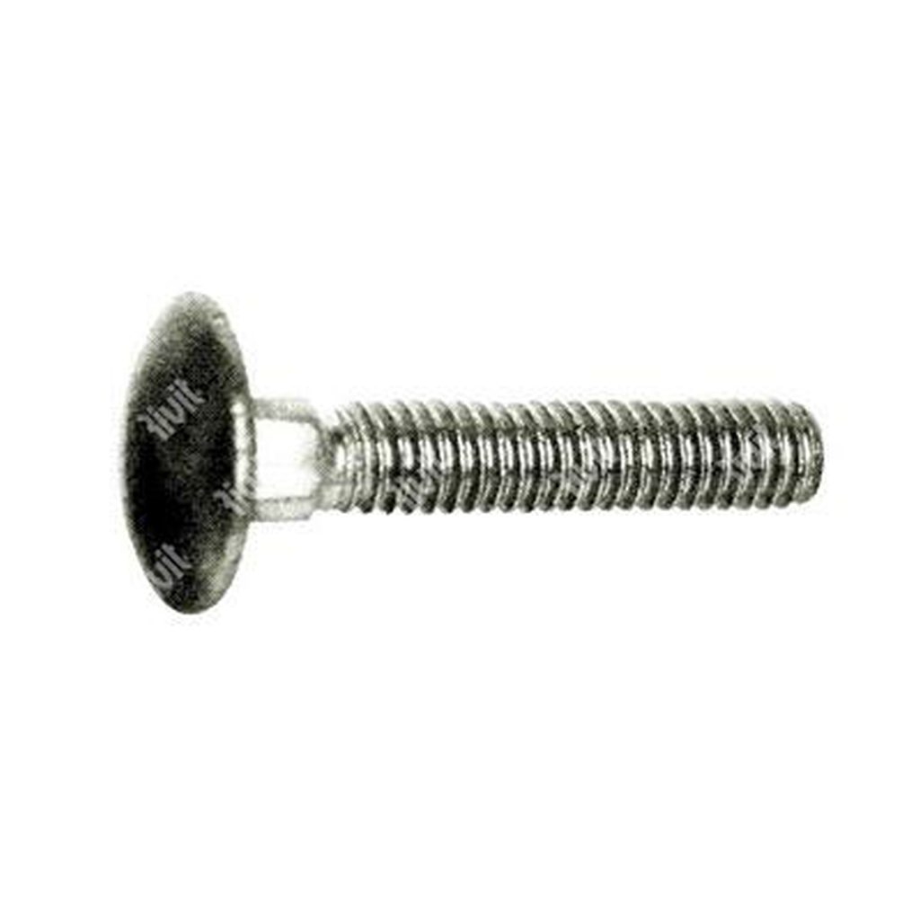 Mushroom head square neck bolt stainless steel A4 M6x20