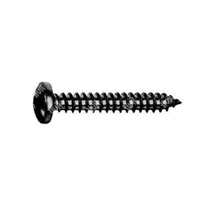 Phillips cross pan head tapping screw UNI 6954/DIN 7981 black zinc plated steel 5,5x25