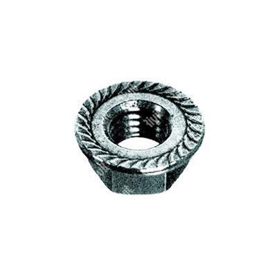 Hex serrated flange nut DIN 6923 white zinc plated steel cl.8 M4