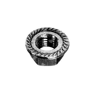 Hex serrated flange nut DIN 6923 plain steel cl.8 M6