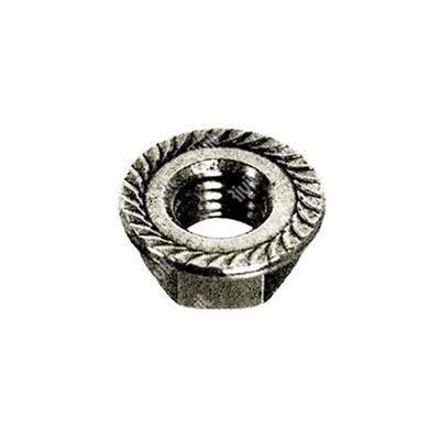 Hex serrated flange nut DIN 6923 Stainless steel 304 M5