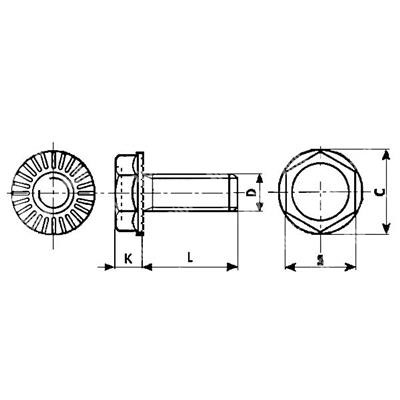 Hex head flange w/serration bolt DIN 6921 4.8 - white zinc plated steel M5x20