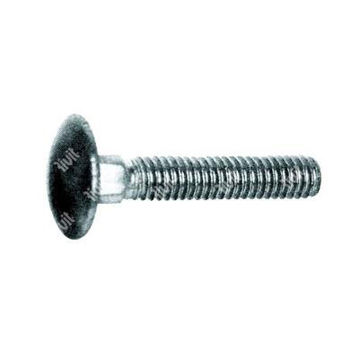 Round head square neck bolt UNI 5732/DIN 603 with hex nut   4.8 - white zinc plated steel M5x25