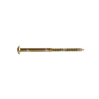 VVS-Safety screw w/thread for anchor TX40 YG with cover head d.7x70