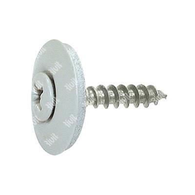 VVX9002-Stainless steel PZ screw w/washer d20+EPDM (in 1 pc). Head painted RAL9002 4,5x35xR20