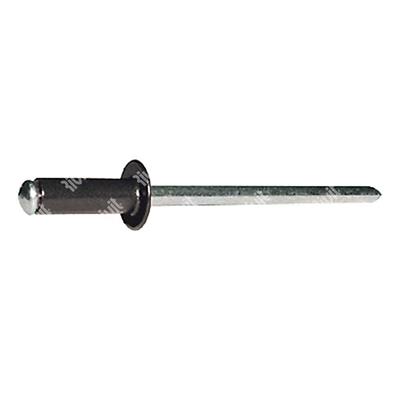 FFT8019-Blind rivet Steel RAL8019/Steel DH 3,2x7,0