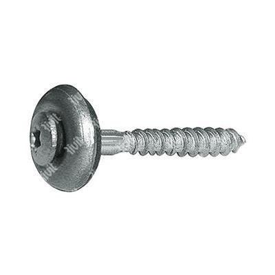 VSXXT-Stainless steel HX20 screw w/washer and seal d15 4,5x80xR15