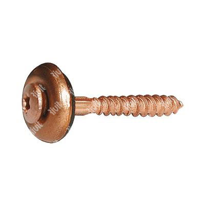 VSXRT-Stainless steel copper pltHX20screw w/washer and seal d15 4,5x20xR15