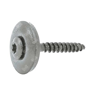 VTX20-Stainless steel screw w/washer d.20+EPDM TX2 painted RAL7037 4,5x45xR20