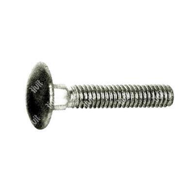 Mushroom head square neck bolt stainless steel A4 M6x40