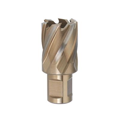 FERVI-Core drill w/weldon shank d.39