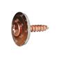 VVXR-Stainless steel copper pltd PZ screw w/washer d.20+EPDM (in 1 pc) 4,5x45xR20