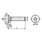 Vis tête fraisée à six pans creux U5933/D7991 A2 - acier inoxydable AISI304 M4x6